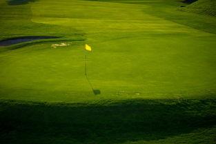 成人户外草地运动视频,捕捉户外激情瞬间