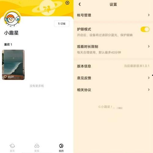 丝瓜小短视频成人app,成人内容平台的崛起与影响