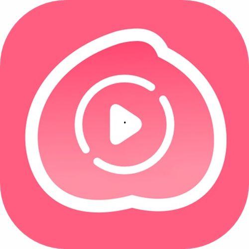 成人免费播放视频器,成人专属视频播放器体验之旅