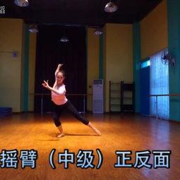 成人考级舞蹈视频大全,成人考级舞蹈视频大全精选解析