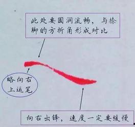 成人硬笔练字笔画讲解视频